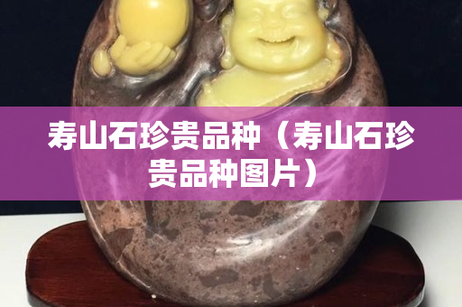 寿山石珍贵品种（寿山石珍贵品种图片）