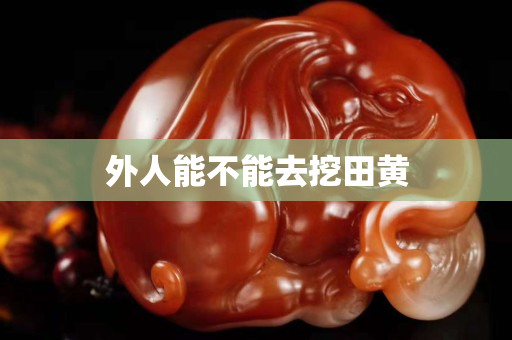 外人能不能去挖田黄