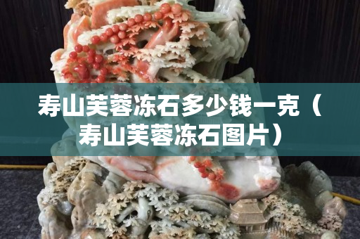 寿山芙蓉冻石多少钱一克（寿山芙蓉冻石图片）