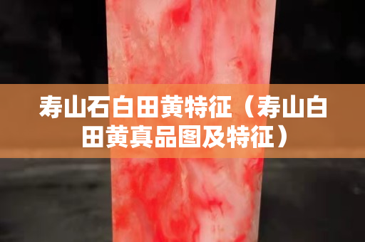 寿山石白田黄特征（寿山白田黄真品图及特征）