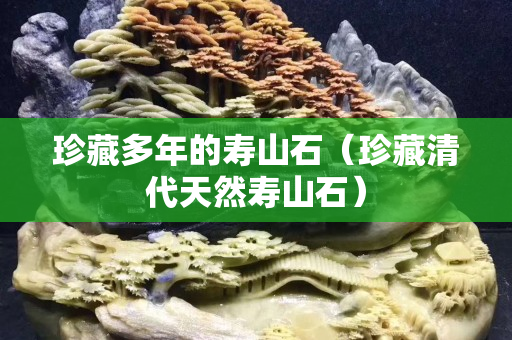 珍藏多年的寿山石（珍藏清代天然寿山石）