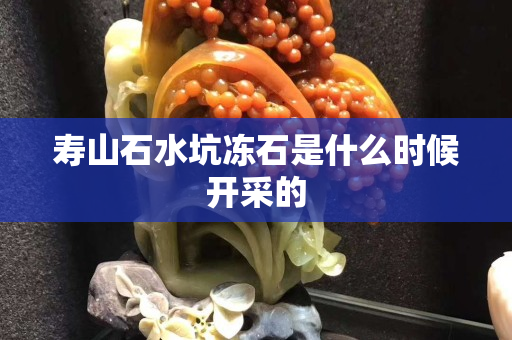 寿山石水坑冻石是什么时候开采的