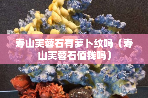 寿山芙蓉石有萝卜纹吗（寿山芙蓉石值钱吗）