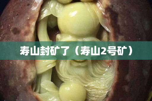 寿山封矿了（寿山2号矿）
