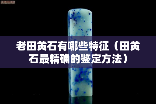 老田黄石有哪些特征（田黄石最精确的鉴定方法）
