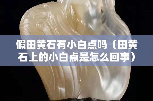 假田黄石有小白点吗（田黄石上的小白点是怎么回事）