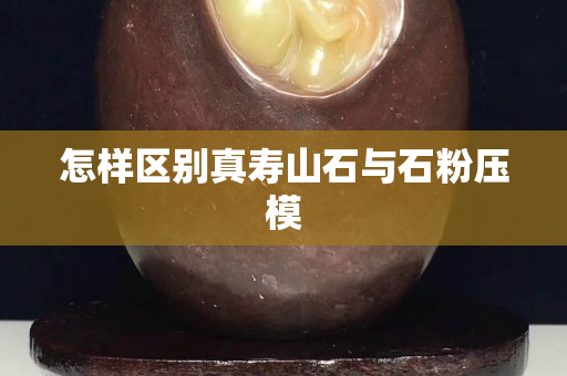 怎样区别真寿山石与石粉压模