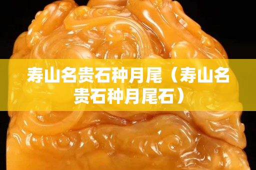 寿山名贵石种月尾（寿山名贵石种月尾石）