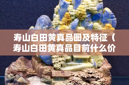 寿山白田黄真品图及特征（寿山白田黄真品目前什么价）