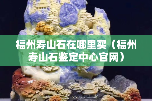 福州寿山石在哪里买（福州寿山石鉴定中心官网）