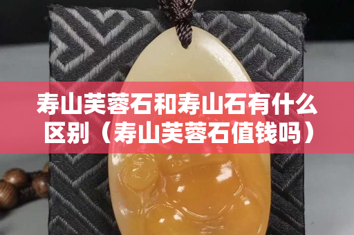 寿山芙蓉石和寿山石有什么区别（寿山芙蓉石值钱吗）