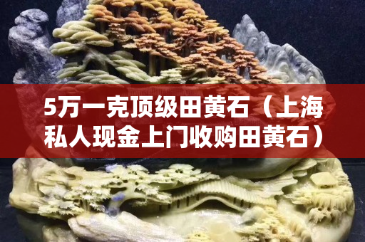 5万一克顶级田黄石（上海私人现金上门收购田黄石）