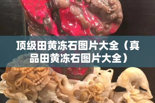 顶级田黄冻石图片大全（真品田黄冻石图片大全）