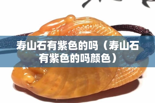 寿山石有紫色的吗（寿山石有紫色的吗颜色）