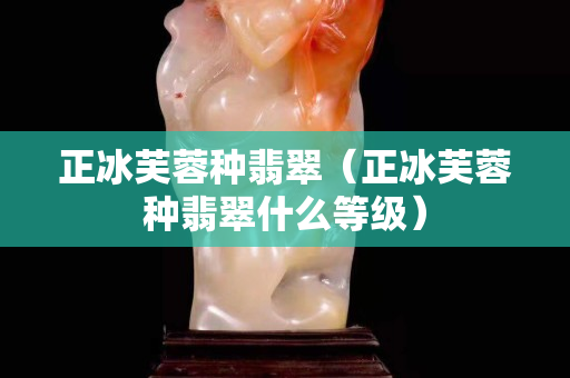 正冰芙蓉种翡翠（正冰芙蓉种翡翠什么等级）