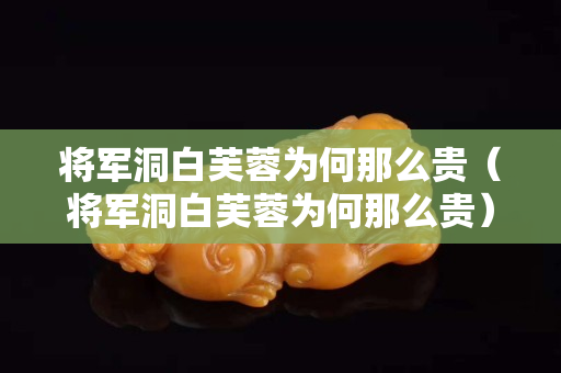 将军洞白芙蓉为何那么贵（将军洞白芙蓉为何那么贵）