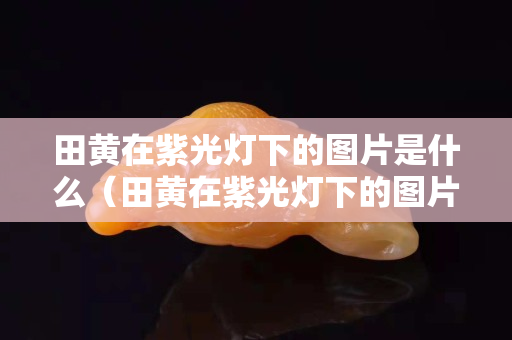 田黄在紫光灯下的图片是什么（田黄在紫光灯下的图片是什么）