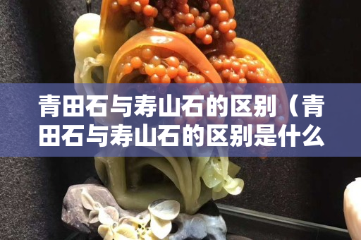 青田石与寿山石的区别（青田石与寿山石的区别是什么）
