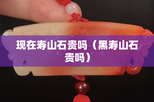 现在寿山石贵吗（黑寿山石贵吗）