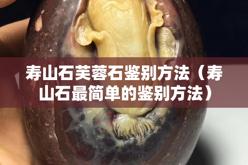 寿山石芙蓉石鉴别方法（寿山石最简单的鉴别方法）