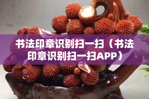 书法印章识别扫一扫（书法印章识别扫一扫APP）