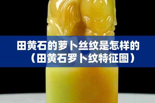 田黄石的萝卜丝纹是怎样的（田黄石罗卜纹特征图）