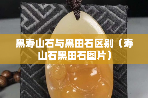 黑寿山石与黑田石区别（寿山石黑田石图片）