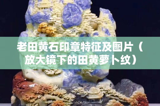 老田黄石印章特征及图片（放大镜下的田黄萝卜纹）