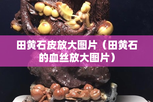 田黄石皮放大图片（田黄石的血丝放大图片）
