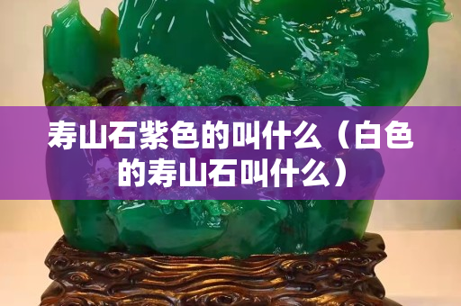 寿山石紫色的叫什么（白色的寿山石叫什么）