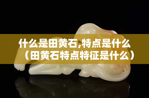 什么是田黄石,特点是什么（田黄石特点特征是什么）