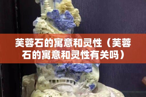 芙蓉石的寓意和灵性（芙蓉石的寓意和灵性有关吗）