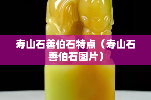 寿山石善伯石特点（寿山石善伯石图片）