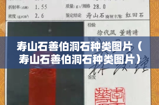 寿山石善伯洞石种类图片（寿山石善伯洞石种类图片）