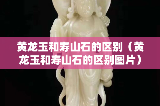 黄龙玉和寿山石的区别（黄龙玉和寿山石的区别图片）