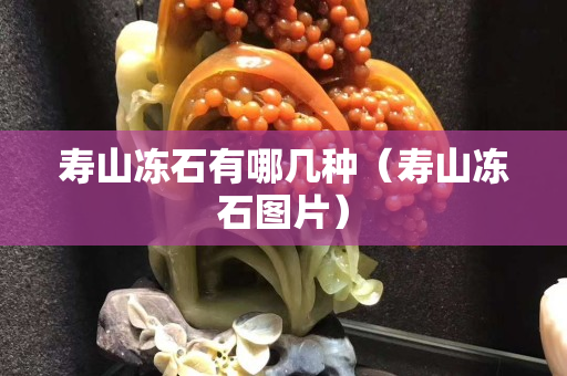 寿山冻石有哪几种（寿山冻石图片）