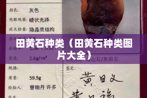 田黄石种类（田黄石种类图片大全）