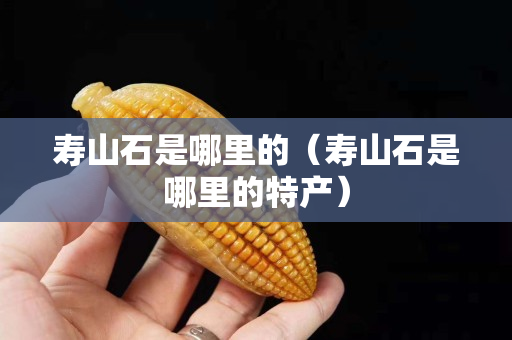 寿山石是哪里的（寿山石是哪里的特产）