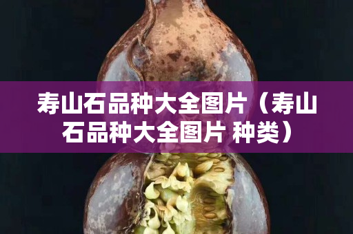 寿山石品种大全图片（寿山石品种大全图片 种类）