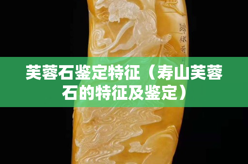 芙蓉石鉴定特征（寿山芙蓉石的特征及鉴定）