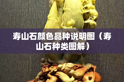 寿山石颜色品种说明图（寿山石种类图解）