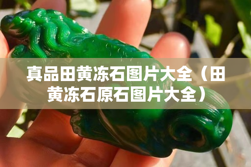 真品田黄冻石图片大全（田黄冻石原石图片大全）