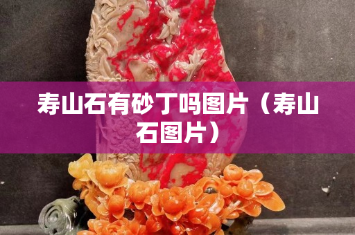 寿山石有砂丁吗图片（寿山石图片）