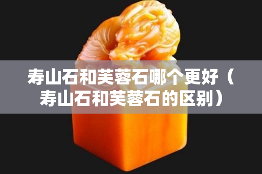 寿山石和芙蓉石哪个更好（寿山石和芙蓉石的区别）