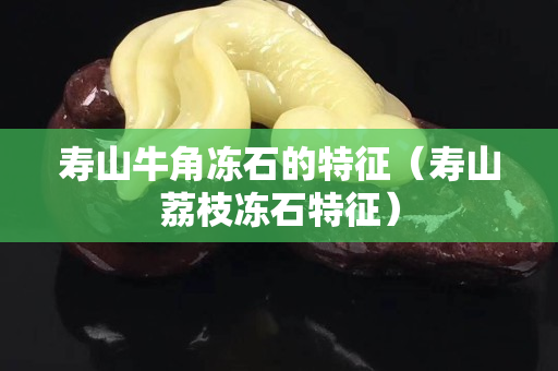 寿山牛角冻石的特征（寿山荔枝冻石特征）