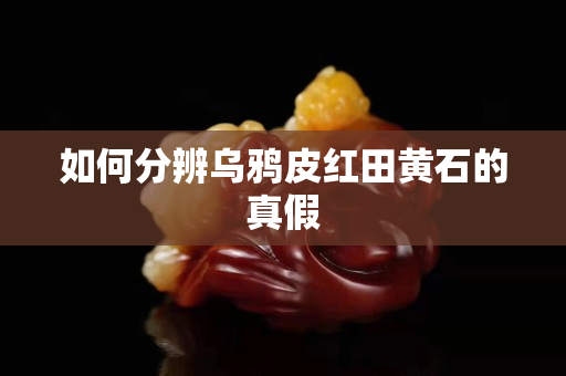 如何分辨乌鸦皮红田黄石的真假