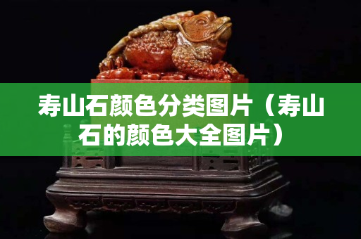 寿山石颜色分类图片（寿山石的颜色大全图片）