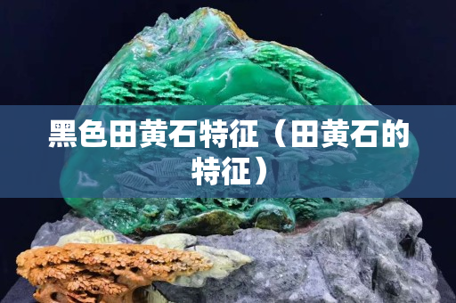 黑色田黄石特征（田黄石的特征）