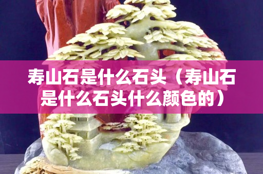 寿山石是什么石头（寿山石是什么石头什么颜色的）