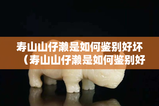 寿山山仔濑是如何鉴别好坏（寿山山仔濑是如何鉴别好坏）